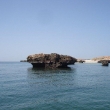 DSC07470